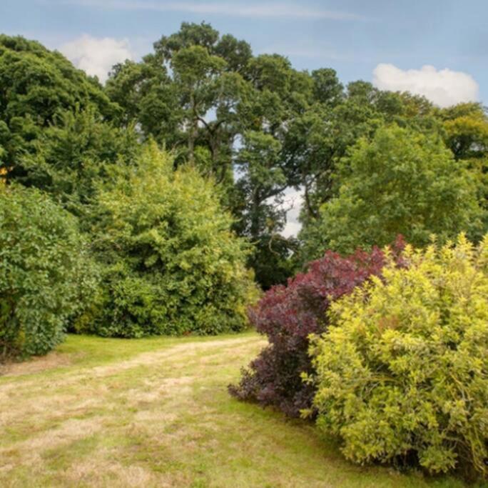 Killenard Kottage, Killenard, Laois Apartment Exterior photo